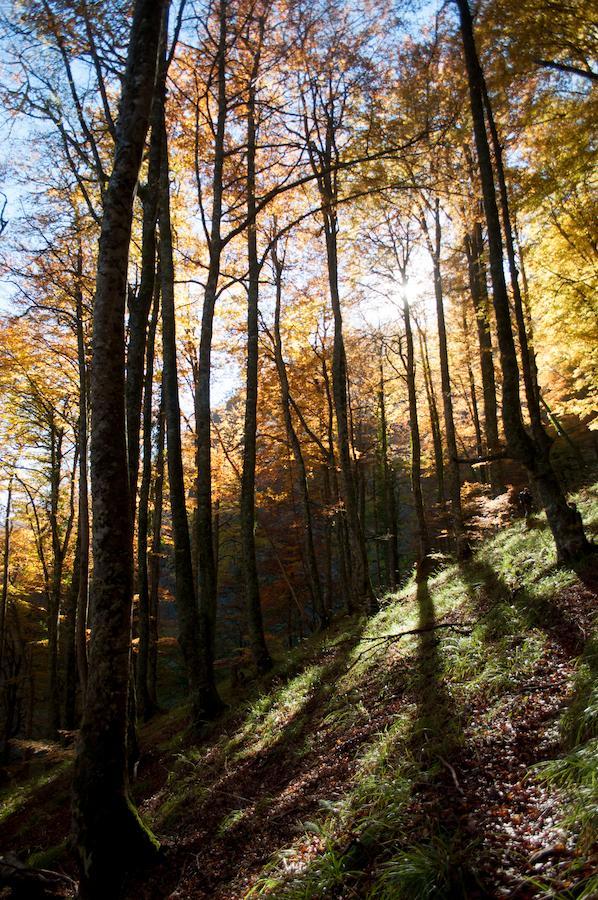 Отель El Mirador De Fuentes Del Narcea Монко Экстерьер фото